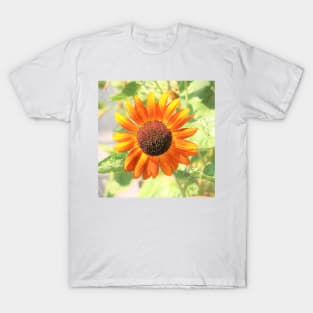 Sunflower – New Harmony Indiana (Moments Art - Eco) T-Shirt